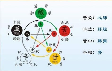 五方位|五行，五色，五方位所指的方向是什么